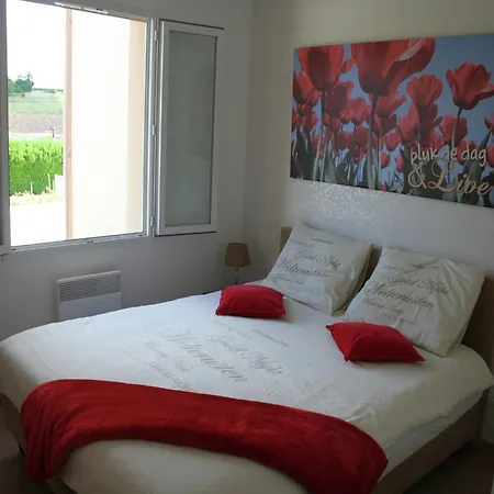 Villa In With Pool And Vineyards, Cleaning Included Segonzac (Charente)