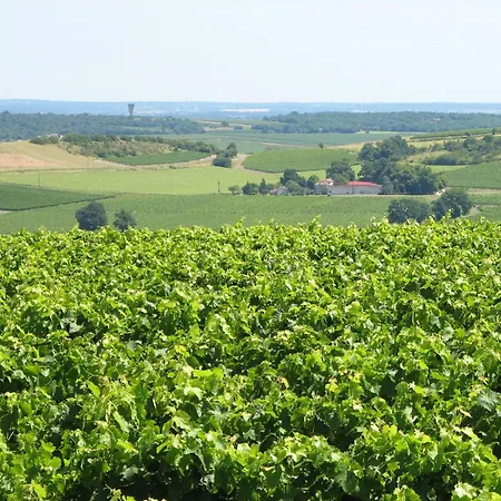 In With Pool And Vineyards, Cleaning Included Villa Segonzac (Charente)