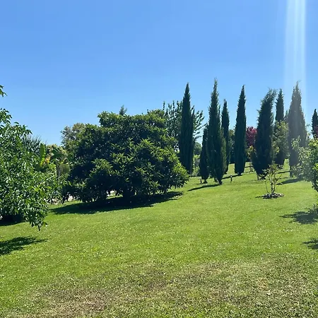 Villa In With Pool And Vineyards, Cleaning Included Segonzac (Charente)